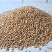 Buy 1 kg Whole Grain Mill Wheat - Fresh Quality from R tze Mill - International Shipping - Buy Online on SooperMarket.com