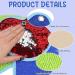 Sensory Mats Set - 9 Mini Textured Play Tiles for Tactile Educational Exercise - Buy Online on SooperMarket.com