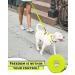 Looxmeer Neon Yellow Dog Leash - 3m to 30m Premium Tear-Resistant Training Tow Lines with Hand Loop & D Carabiner for International Shipping - Buy Online on SooperMarket.com
