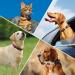 Personalized Yehanti Dog Brand - Engraved Quiet Silicone Dog Tag for Pets | Custom Name Phone & Address | Pink & Black - Ideal for Dogs Cats & Puppies (16mm Collar) - Buy Online on SooperMarket.com