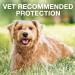 K9 Advantix II for Extra-Large Dogs Over 55lbs - 2 Count Pack - Buy Online on SooperMarket.com