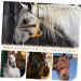 BCOATH Portable Fully Equipment Halter Reflective Racing Bridle Horse Adjustable Head Riding Tool - Buy Online on SooperMarket.com