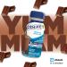 Ensure Regular Nutritional Supplement Shake Value Pack Nutrition To Stay Active And Energetic Chocolate 24 x 235-mL Bottles - Buy Online on SooperMarket.com