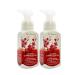 Bath & Body Works Japanese Cherry Blossom Gentle Foaming Hand Soap - 2-Pack, 8.75 Fl Oz - Buy Online on SooperMarket.com