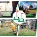 9 Pack Golf Putting Cup and Flag Set | Indoor Outdoor Training Aids for Kids, Men, Women | Red Plastic Golf Hole Accessories - Buy Online on SooperMarket.com