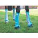 Shires Arma Fly Turnout Socks - Teal Cob - Buy Online on SooperMarket.com