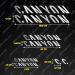 Generic Sticker Set for Canyon MTB - Customizable Decals & Lettering Logos in Various Colors | Perfect Bicycle Stickers for Mountain Bikes - Buy Online on SooperMarket.com