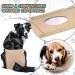 3 Pack Dog Trousers & Diapers for Bitches - Adjustable Washable Protective During Heat & Bleeding - Buy Online on SooperMarket.com