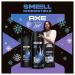 AXE Gift Set for Men - Phoenix Fresh Body Care | AXE Body Wash Spray & Antiperspirant | 48H Odor Protection Mint & Rosemary Scent - Buy Online on SooperMarket.com