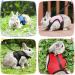 Adjustable Soft Rabbit Dishes & Elastic Leash for Small Pets - Kitty & Bunny Walking Set (Blue XS - 20-27.5cm) - Buy Online on SooperMarket.com