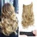 REECHO Invisible Wire Hair Extensions with Transparent Headband Adjustable Size Removable Secure Clips in Curly Wavy Secret Hairpiece for Women (16 Inch (Pack of 1), 25XH613) 16 Inch (Pack of 1) 25XH613