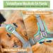 Breathable Mesh Dog Muzzle - Adjustable for Small Medium & Large Breeds | Prevents Biting Chewing & Barking - Gray XS - Buy Online on SooperMarket.com