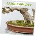 BESPORTBLE Pet Water Feeder Ants Water Feeding Supply Small Ants Feeder Ants Habitat Water Feeding Plastic - Buy Online on SooperMarket.com