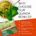 Wild Zora Organic Quinoa Bowls - Herb Roasted Chicken Flavor (3-Pack) | Gluten-Free, Quick & Tasty Meals with Lentils and Olive Oil | Pantry Staple Instant Meal Option - Buy Online on SooperMarket.com