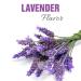 Sweat Go Rollon Antiperspirant Lavender For Women - 60 ML - Buy Online on SooperMarket.com