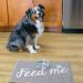 Arkwright Soft Dog Food Mat (16x24 Inch) - Non-Slip Washable Mat for Dogs & Cats Feeding - Buy Online on SooperMarket.com