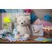 Taggies Arctic Bear Baby Teether Rattle - 5-Inch Original Shake & Teethe Toy - Buy Online on SooperMarket.com