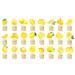 48pcs Lemon Dessert Cupcake Topper Summer Main Squeeze Party Theme Decor for Lemonade Engagament Party Baby Shower Birthday Party Cake Decorations Supplies