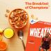 Wheaties 100% Whole Wheat Flakes Cereal 15.6 oz - Breakfast of Champions - Buy Online on SooperMarket.com