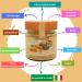 Dalia Nut Spreads - Sugar-Free High Nut Content Vegan & Gluten-Free | 4x200g | Made in Italy (Hazelnut Chocolate Almond-Tonka Almond Coconut) - Buy Online on SooperMarket.com
