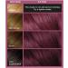 L'Or al Paris Colorista Permanent Gel Hair Dye - Vibrant Violet Shade with Long-Lasting Color and High Shine - Buy Online on SooperMarket.com