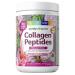 Purely Inspired Collagen Powder Purely Inspired Collagen Peptides Powder Beauty Supports Skin Hair and Nail Joint Pain Support Mixed Berry 20 Servings Mixed Berry 20 Servings (Pack of 1)