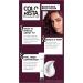 L'Or al Paris Colorista Permanent Gel Hair Dye - Dark Purple | Long-Lasting Vibrant At-Home Hair Colour - Buy Online on SooperMarket.com