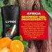 Lynx SG Africa 250ml - Buy Online on SooperMarket.com