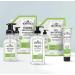 J.R. Watkins Aloe & Green Tea Foaming Hand Soap Refill - 28 fl oz (Pack of 3) | All Natural, Moisturizing, Alcohol-Free, Cruelty-Free, USA Made - Buy Online on SooperMarket.com