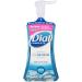 Dial Complete Foaming Antibacterial Hand Wash Spring Water 7.5 Ounce