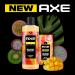 AXE Hawaiian Vibe Men's Aluminum-Free Deodorant Stick 2.6 oz, 4-Pack - 100% Natural Scent & Essential Oils - Buy Online on SooperMarket.com
