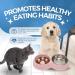 Fur & Bone Double Slow Feeder Dog Bowl | Raised Non-Slip Cat Food & Water Bowl | Stainless Steel, Pink - Buy Online on SooperMarket.com