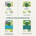 Traditional Medicinals Organic Smooth Move Peppermint Tea - 16 Count Pack - Digestive Support - Buy Online on SooperMarket.com