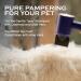 Oakwood Natural Aloe Vera Coat Conditioner & Tearless Oatmeal Shampoo for Pets - Hypoallergenic Grooming Set for Dogs & Cats - Relieves Dry Skin Itching & Detangles - Buy Online on SooperMarket.com