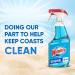 Windex Original Blue Glass and Window Cleaner Bottles Made from 100% Recycled Plastic 765mL 765 ml (Pack of 1) - Buy Online on SooperMarket.com