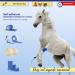 Protectaplast Self-Adhesive Blue Bandage for Pets | Latex-Free & Glue-Free 6cm x 2m | Ideal for Dogs Cats & Horses - Wound & Joint Dressing - Buy Online on SooperMarket.com