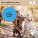 Paws & Patch Set: Dr. Bach Flower Mix for Stress & Anxiety in Dogs & Cats - 10g | Natural Relief for Fear & Stressful Situations - Buy Online on SooperMarket.com