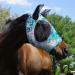 Harrison Howard Super Comfort Stretchy Fly Mask - Large Eye Space UV Protection Breathable - Medium Green Water Color (M) - Buy Online on SooperMarket.com