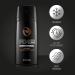 Buy AXE Dark Temptation Deodorant Body Spray 5.07 oz - International Shipping Available - Buy Online on SooperMarket.com