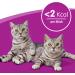 Buy Whiskas Cat Snacks Crunchy Pockets with Chicken & Cheese - 6 Pack (432g) - International Shipping Available - Buy Online on SooperMarket.com