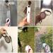 Hycyyfc 3/5m Extendable Dog Leash - Comfortable Roller Leash for Small & Large Dogs Adjustable Training Line for Puppies & Cats in Brown - Buy Online on SooperMarket.com