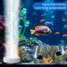 Forever Speed Aquarium Air Stone 80mm - Ultra Silent Nano Air Stone for Enhanced Oxygen in Aquariums - Buy Online on SooperMarket.com
