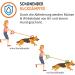FLOXIK RULD DISCHESS Dog Small | Strong Elastic Linen Leash for Walking Jogging & Cycling - Perfect for Every Dog - Buy Online on SooperMarket.com