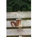 Squirrel Nut Feeder Zinc Roof Pinewood FSC 100% Wildlife Garden