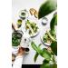 2023 Gold Medal Winner High Phenolic USDA Organic Greek Extra Virgin Olive Oil 16.9 oz Bottle - Vegan Cold Extracted from Greece - Koroneiki Variety by PJ KABOS Family Reserve - Buy Online on SooperMarket.com