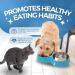 Double Slow Feeder Dog Bowl | Raised Non-Slip Stainless Steel Cat Food & Water Bowl | Detachable Blue Cat Bowl - Buy Online on SooperMarket.com