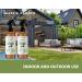 Kate's Garden Rodent Repellent Spray with Peppermint Oil - 16oz (2-Pack) | Non-Toxic Mice & Rat Repellent | Indoor & Outdoor Use | Made in USA - Buy Online on SooperMarket.com