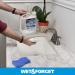 Wet  Forget Indoor Mold and Mildew All-Purpose Cleaner Deodorizes Disinfects Kills 99.9 of Bacteria and Viruses Ready to Use 64 Fl. Oz. - Buy Online on SooperMarket.com