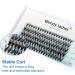 D Curl 0.07mm Mixed Cluster Lashes 8-16mm | 30 Root Individual Eyelash Extensions - Buy Online on SooperMarket.com