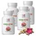 hoodia gordonii Extract Powder - HOODIA Cactus 20:1 Extract - Natural Herbs - hoodia gordonii Plant - Energy Pills - 4 Bottles 360 Tablets